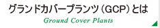 グランドカバープランツ(GCP)とは