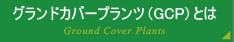 グランドカバープランツ(GCP)とは