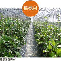 島根県益田市｜生産地