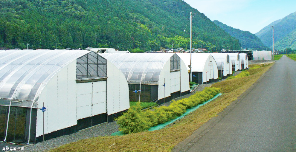 島根県六日市市｜メインビジュアル