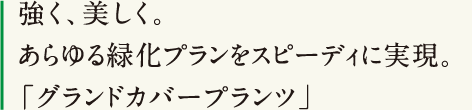 強く、美しく。あらゆる緑化プランをスピーディに実現。「グランドカバープランツ」