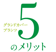 グランドカバープランツ 5つのメリット