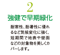 2.強健で早期緑化