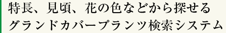 特徴、見頃、花の色などから探せるガランドカバープランツ検索システム