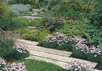 滋賀県草津市（個人邸）｜exterior画像