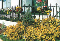 兵庫県西宮市（個人邸）｜exterior画像