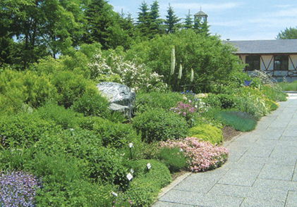 札幌市北区「百合が原公園」｜park画像