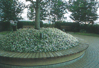 大阪市浪速区「なんばパークス」｜park画像