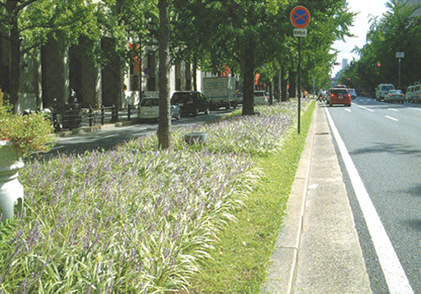 大阪市中央区「御堂筋」｜road画像