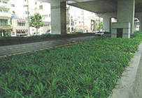 名古屋市中区「名古屋高速高架下」｜road画像