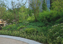 大阪市浪速区「なんばパークス」｜roof画像