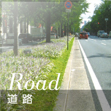 道路｜事例