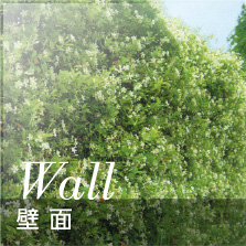 壁面｜事例