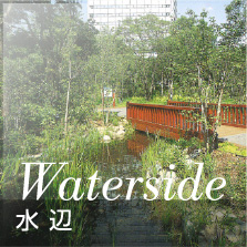 水辺｜事例