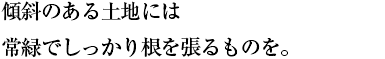 傾斜のある土地には 常緑でしっかり根を張るものを。