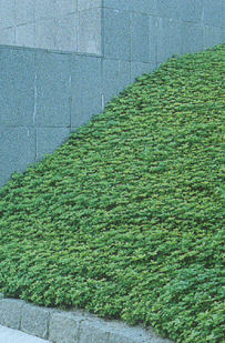 佐賀県有田市（公園）｜slope画像