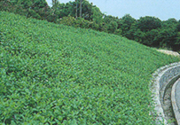 神戸市北区「しあわせの村」｜slope画像