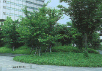 大阪市中央区「大阪ビジネスパーク(ツイン21)」｜urban facilities画像