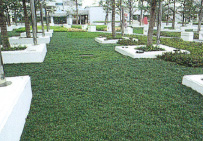 千葉市美浜区｜urban facilities画像