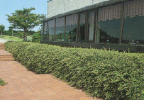 福岡県古賀市「古賀サービスエリア」｜urban facilities画像