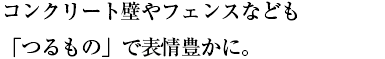 コンクリート壁やフェンスなども<br />「つるもの」で表情豊かに。