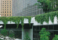 大阪市北区「駅前第二ビル」｜wall画像