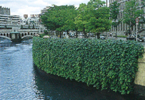 大阪市中央区｜wall画像