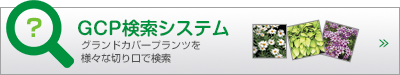 gcp検索システム