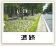 道路