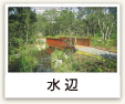 水辺